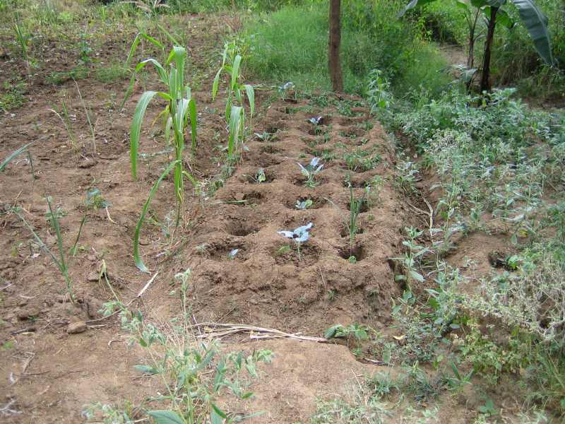 small scale irrigation